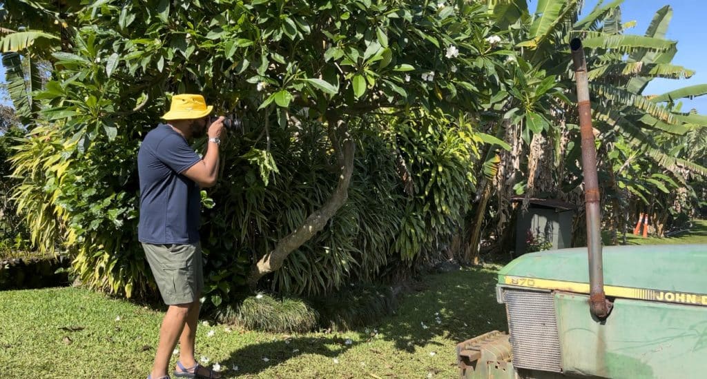 A day at the Coffee Farm